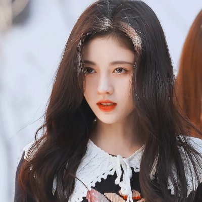 我的老婆是只猫